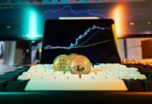 risk assessment and valuation